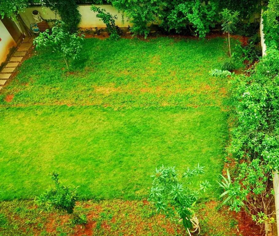 Tulip Villa Bangalore Exterior photo
